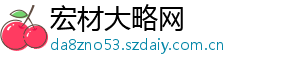 宏材大略网